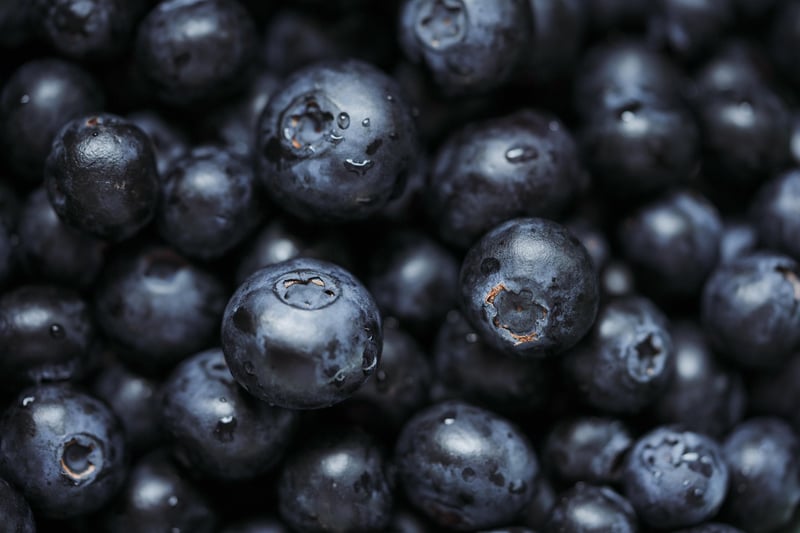 Superfood Dishes